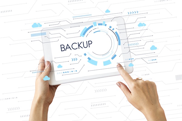 regular website updates and secure backup process for WordPress sites